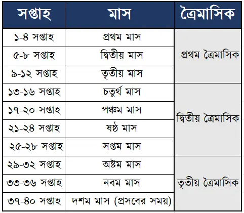 Week and Month